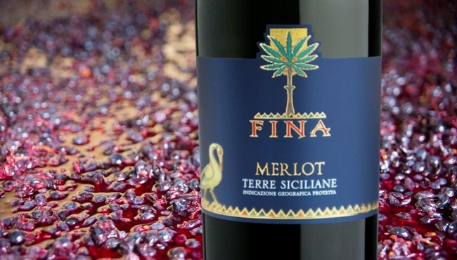 Cantine Fina | Merlot da 75cl